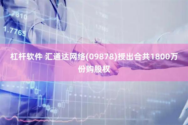 杠杆软件 汇通达网络(09878)授出合共1800万份购股权