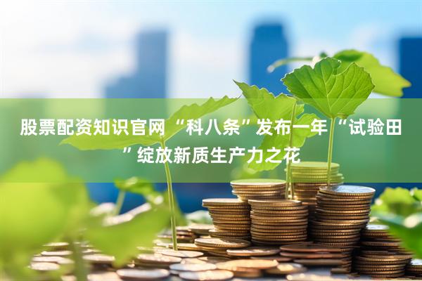 股票配资知识官网 “科八条”发布一年 “试验田”绽放新质生产力之花