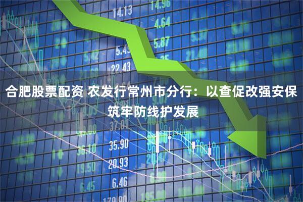 合肥股票配资 农发行常州市分行：以查促改强安保 筑牢防线护发展