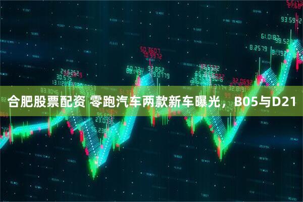 合肥股票配资 零跑汽车两款新车曝光，B05与D21